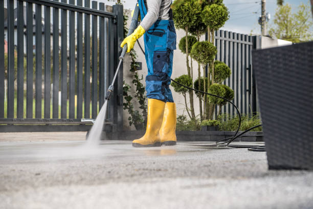 Best Dumpster Area Cleaning  in Mount Shasta, CA